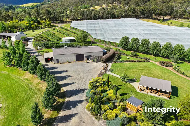 Main view of Homely house listing, 22 Adams Lane, Steels Creek VIC 3775
