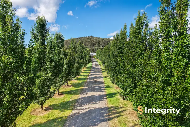 Third view of Homely house listing, 22 Adams Lane, Steels Creek VIC 3775
