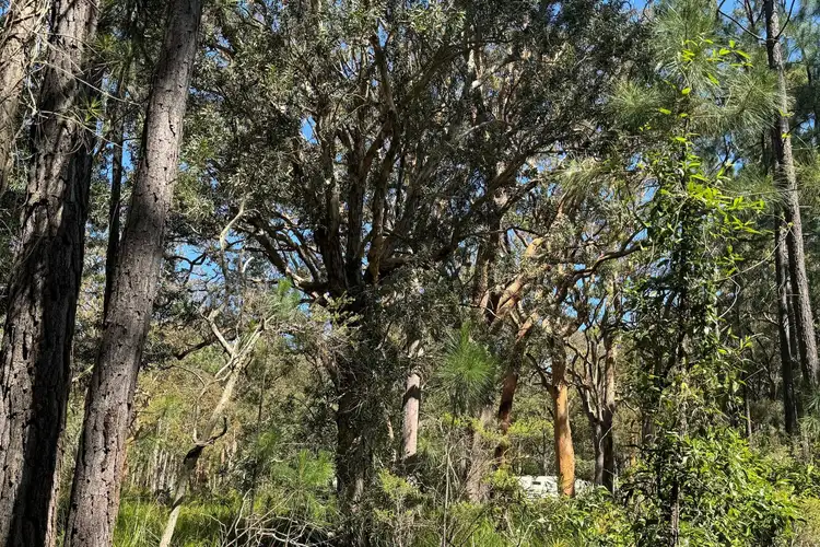 Third view of Homely land listing, LOT 13 Nardoo Street, Pindimar NSW 2324