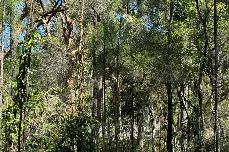 Fifth view of Homely land listing, LOT 13 Nardoo Street, Pindimar NSW 2324