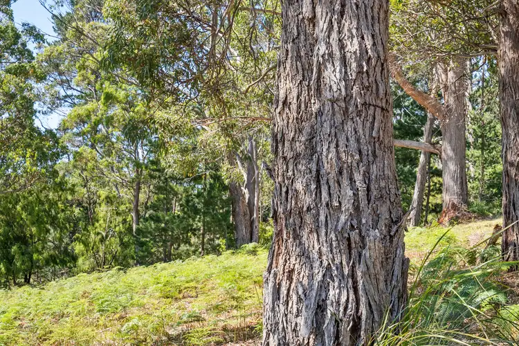 7 Turvey Avenue, Nubeena TAS 7184