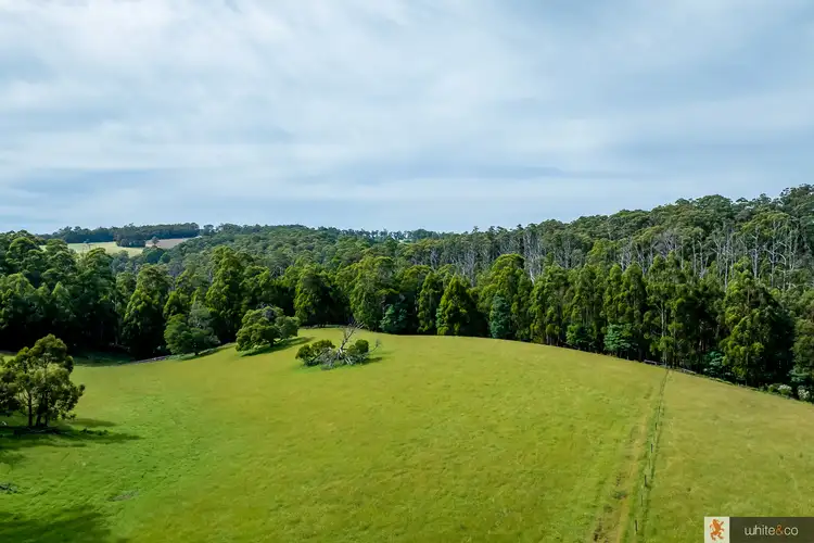 Third view of Homely rural property listing, LOT 44A and 44, 122 Murrays Road, Kinglake VIC 3763