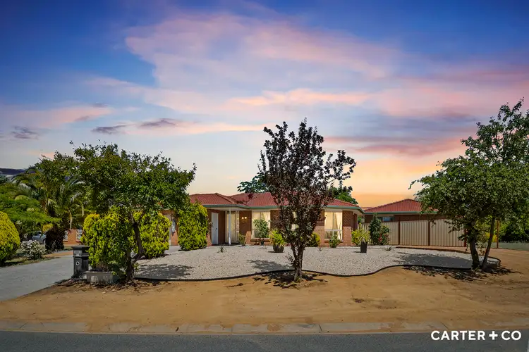 Main view of Homely house listing, 124 Mainwaring Rich Circuit, Palmerston ACT 2913