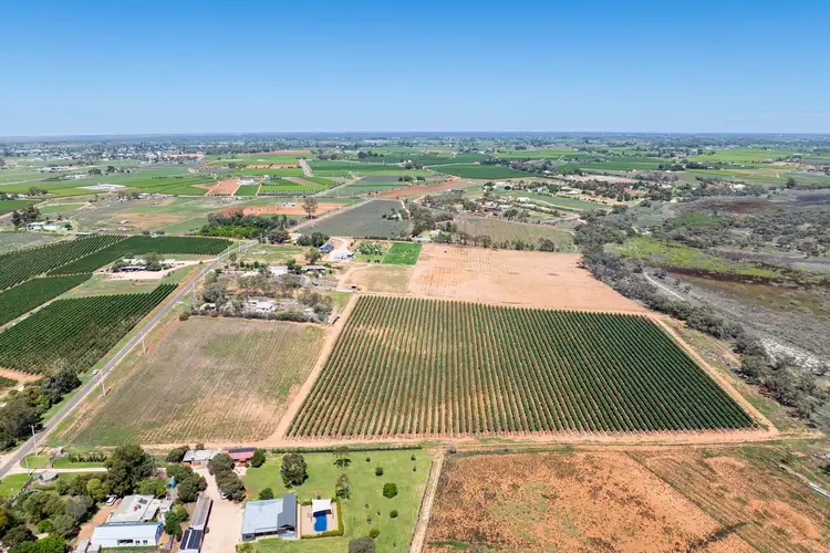 Sixth view of Homely rural property listing, Lot 2 Buloke Street, Red Cliffs VIC 3496