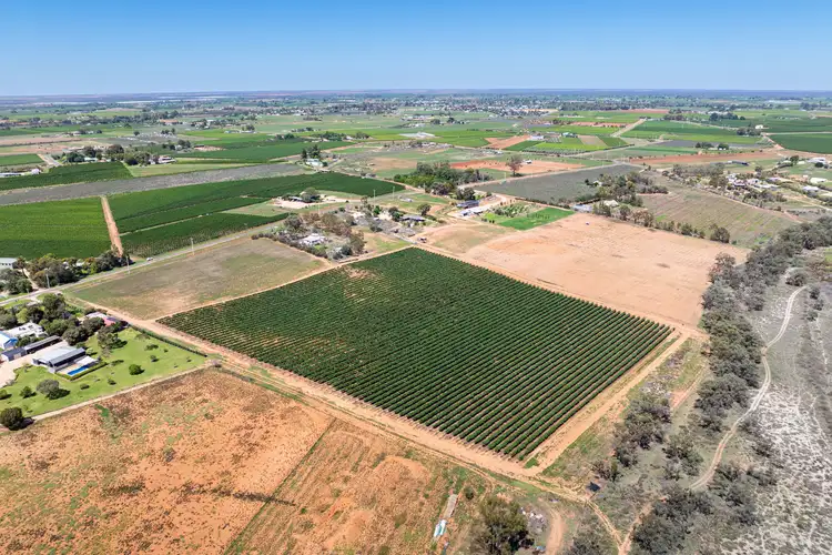 Sixth view of Homely rural property listing, Lot 2 Buloke Street, Red Cliffs VIC 3496