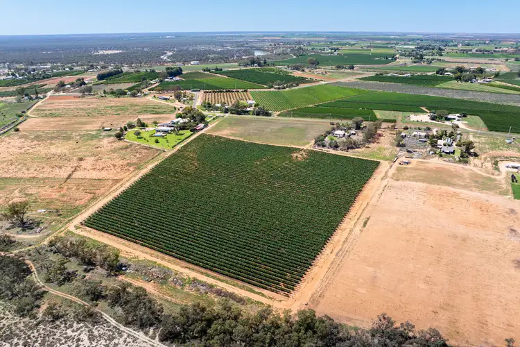 Seventh view of Homely rural property listing, Lot 2 Buloke Street, Red Cliffs VIC 3496