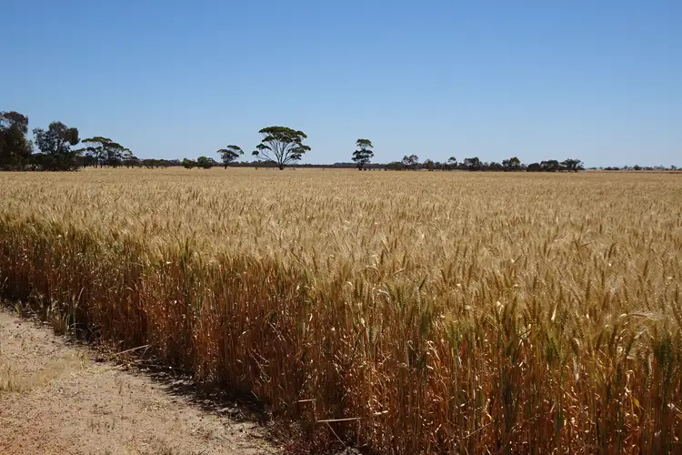 Williams Kondinin Road, Kondinin WA 6367