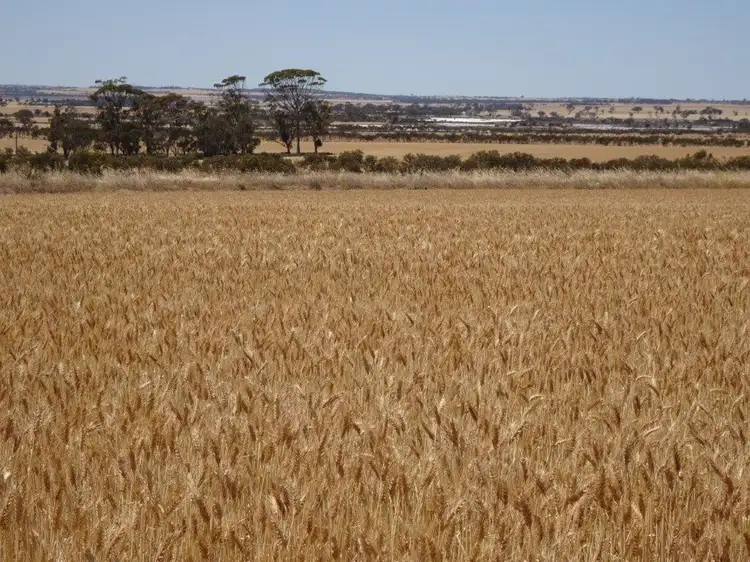 Third view of Homely rural property listing, Williams Kondinin Road, Kondinin WA 6367