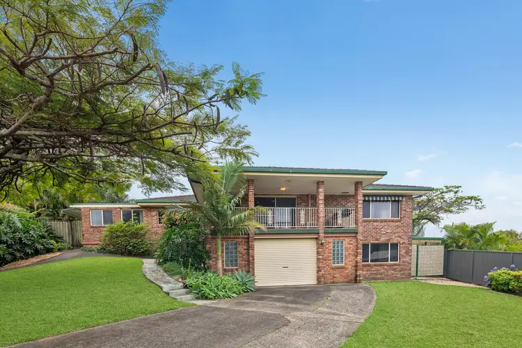4 Cocos Palm Close
