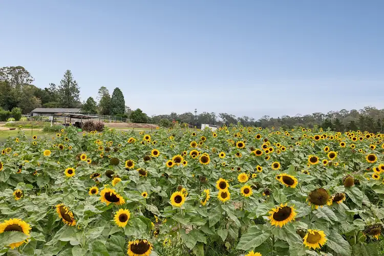 Third view of Homely rural property listing, 610 Bells Line Of Road, Kurmond NSW 2757