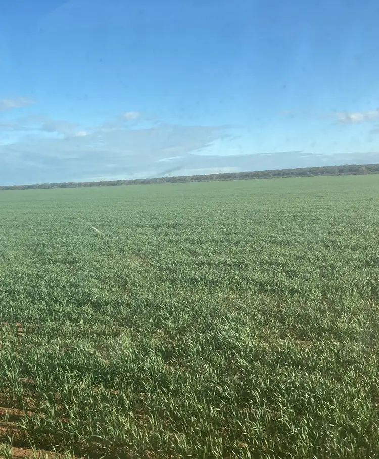 Second view of Homely rural property listing, Lot 74 Utera Road, Cowell SA 5602