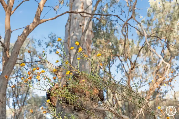 Sixth view of Homely house listing, 145 Lock 5 Road, Paringa SA 5340