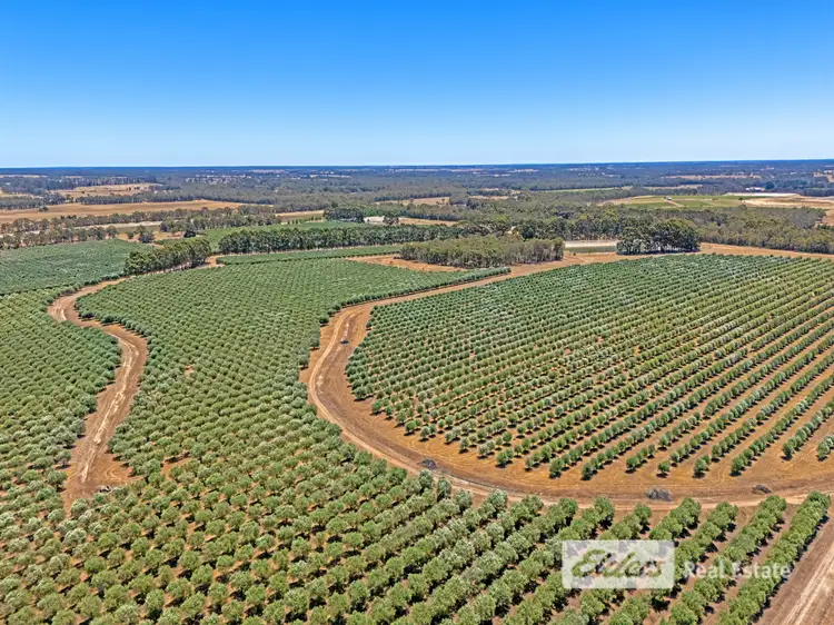 Fifth view of Homely rural property listing, 107 Harvey Road, Forest Hill WA 6324