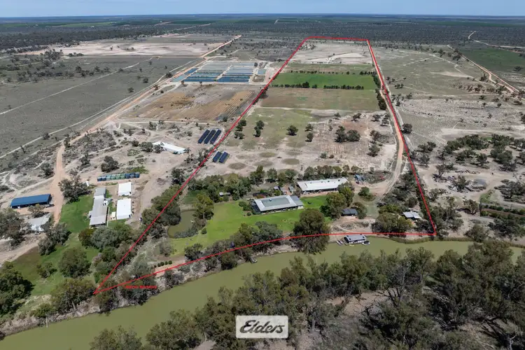 490 Low Darling Road, Pomona NSW 2648
