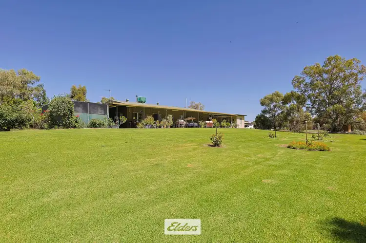 Second view of Homely rural property listing, 490 Low Darling Road, Pomona NSW 2648