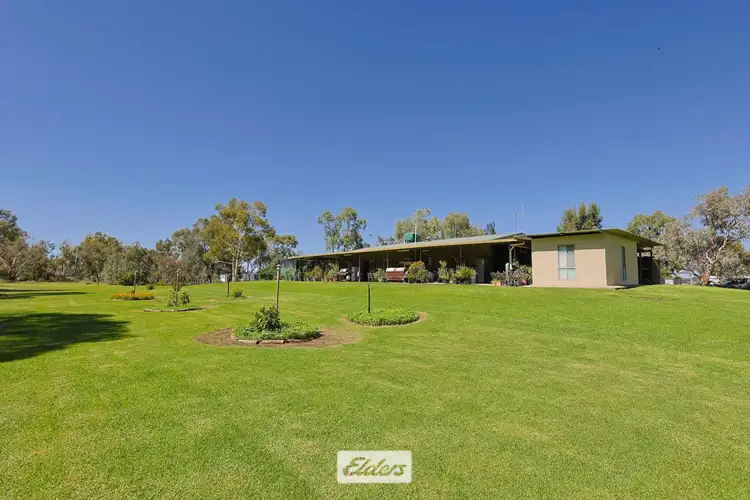 Sixth view of Homely rural property listing, 490 Low Darling Road, Pomona NSW 2648