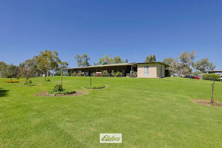 Seventh view of Homely rural property listing, 490 Low Darling Road, Pomona NSW 2648