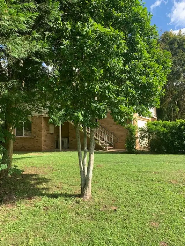 45 Tucker Lane, Ferny Glen QLD 4275