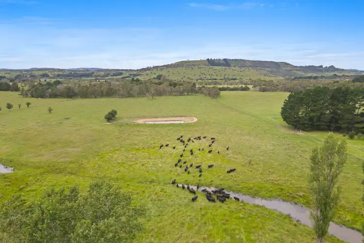 Sixth view of Homely rural property listing, 63 Kardinia Lane, Sutton Forest NSW 2577