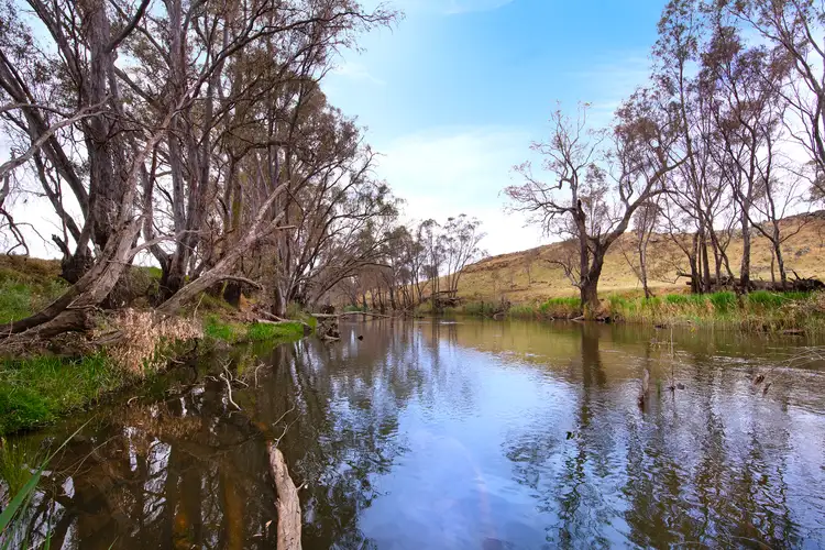 Third view of Homely rural property listing, 598 Axedale-Goornong Road, Axedale VIC 3551