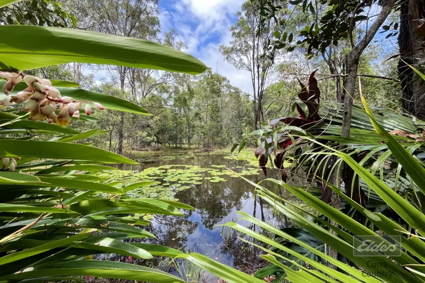Main view of Homely house listing, 100 Varley Road North, Glenwood QLD 4570