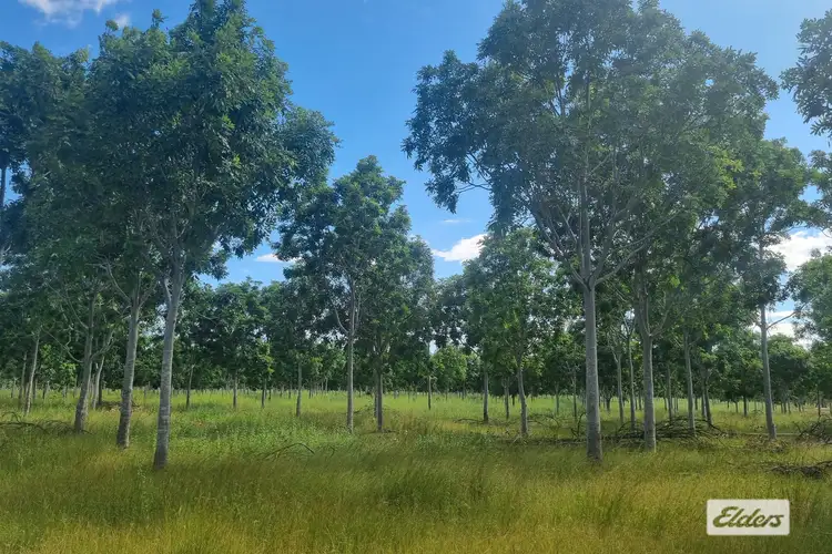 Fifth view of Homely rural property listing, 625 Napier Road, Katherine NT 850