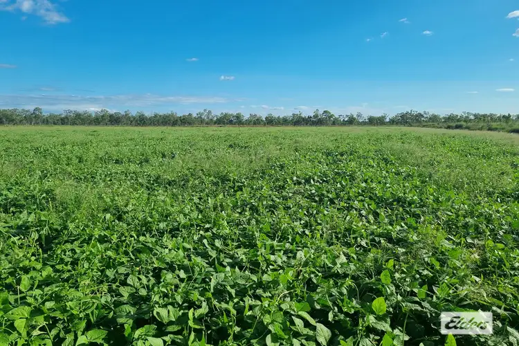 Sixth view of Homely rural property listing, 625 Napier Road, Katherine NT 850
