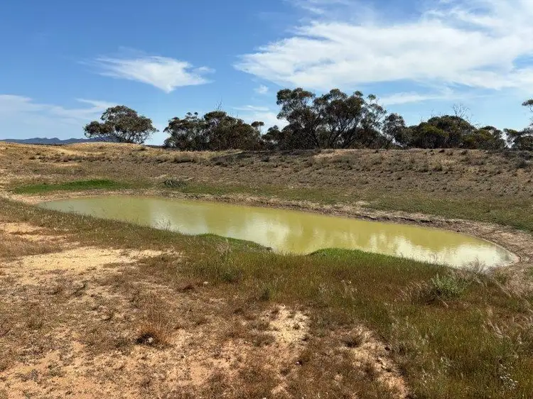 Fourth view of Homely rural property listing, 1963 Balumbah-Kinnard Road, Waddikee SA 5640