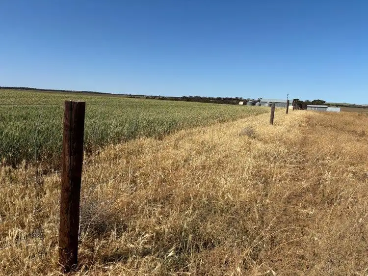 Sixth view of Homely rural property listing, 1963 Balumbah-Kinnard Road, Waddikee SA 5640