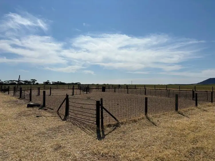 Seventh view of Homely rural property listing, 1963 Balumbah-Kinnard Road, Waddikee SA 5640