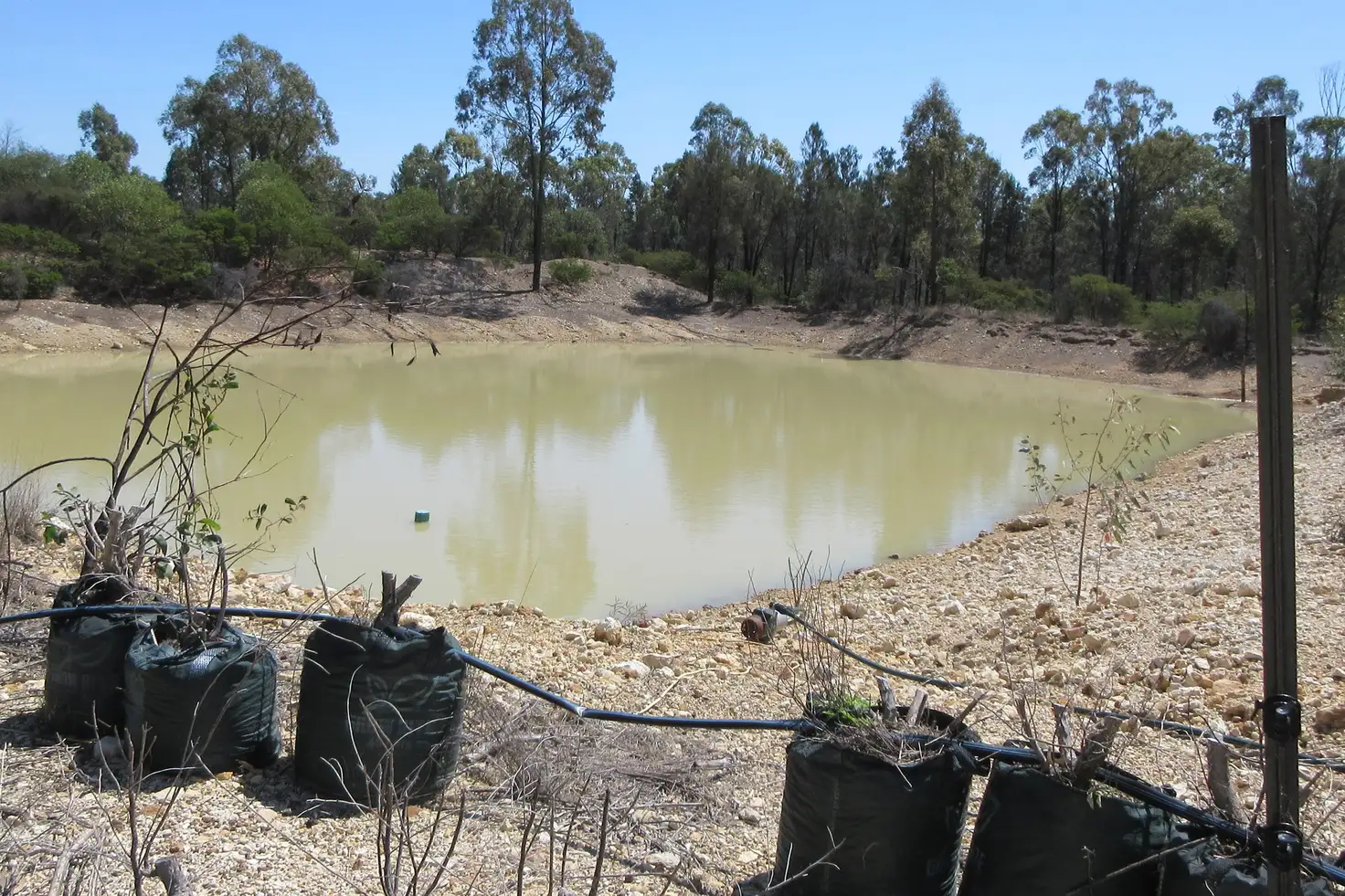 Main view of Homely rural property listing, 129 Miegunyah Court, Tara QLD 4421