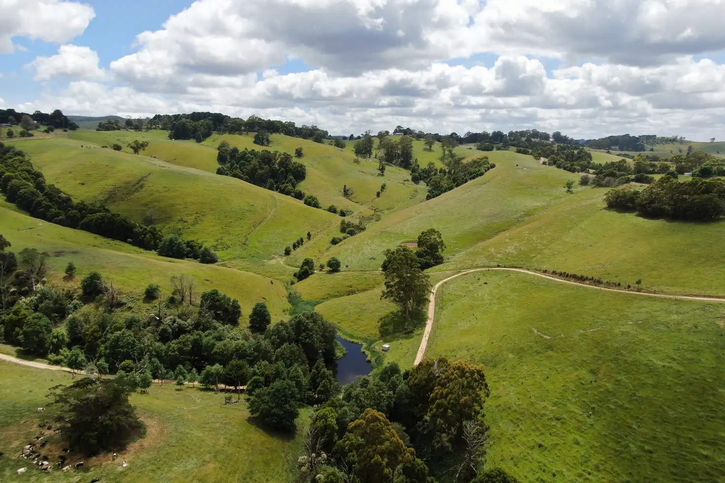 Main view of Homely rural property listing, 10 Rowes Road, Mount Eccles VIC 3953