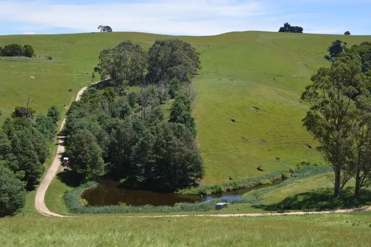 Third view of Homely rural property listing, 10 Rowes Road, Mount Eccles VIC 3953