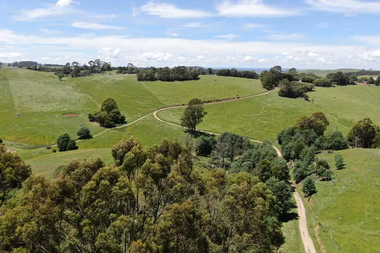 Seventh view of Homely rural property listing, 10 Rowes Road, Mount Eccles VIC 3953
