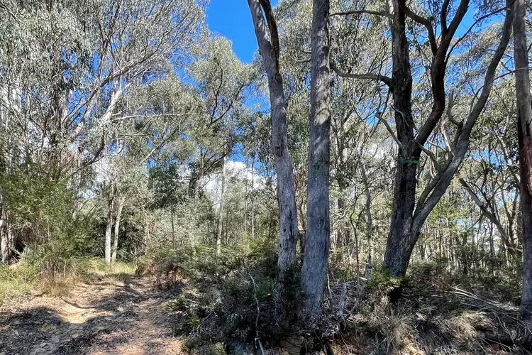 LOT 3 McDougal Street, Woods Point VIC 3723