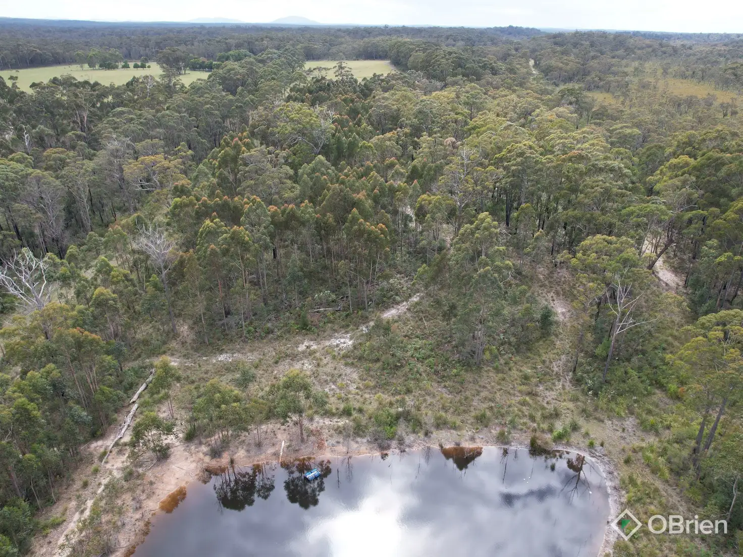 Main view of Homely land listing, 726 Cabbage Tree-Conran Road, Marlo VIC 3888