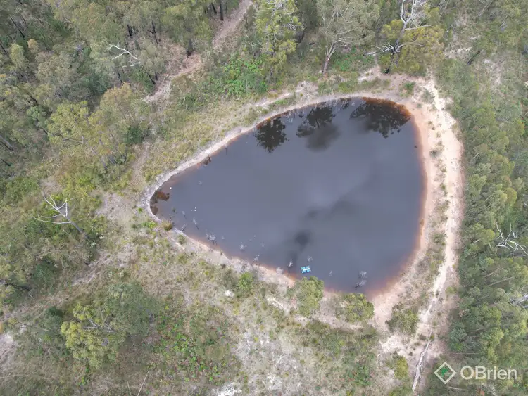 Second view of Homely land listing, 726 Cabbage Tree-Conran Road, Marlo VIC 3888