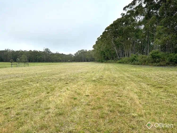 Fourth view of Homely land listing, 726 Cabbage Tree-Conran Road, Marlo VIC 3888