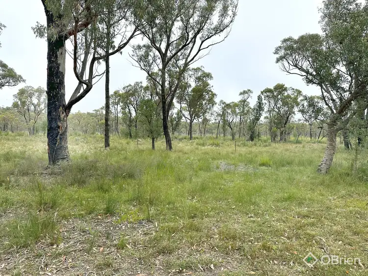 Fifth view of Homely land listing, 726 Cabbage Tree-Conran Road, Marlo VIC 3888