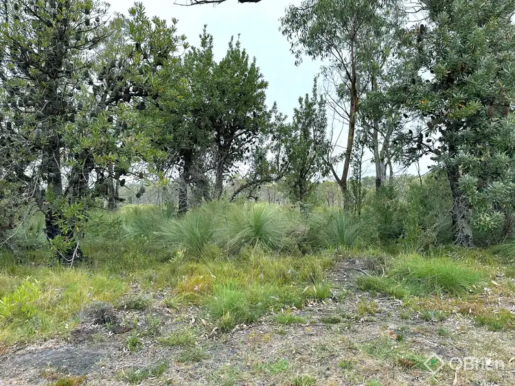 Sixth view of Homely land listing, 726 Cabbage Tree-Conran Road, Marlo VIC 3888