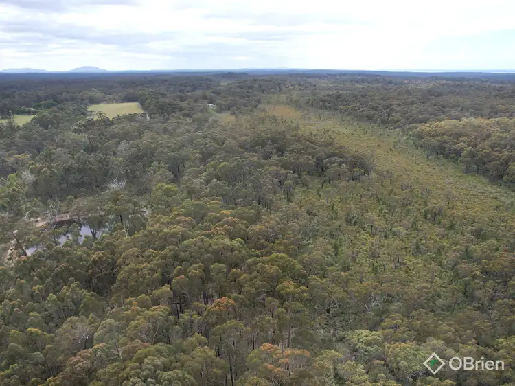 Seventh view of Homely land listing, 726 Cabbage Tree-Conran Road, Marlo VIC 3888
