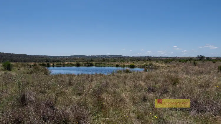 Seventh view of Homely rural property listing, 2/1921 Barneys Reef Road, Gulgong NSW 2852