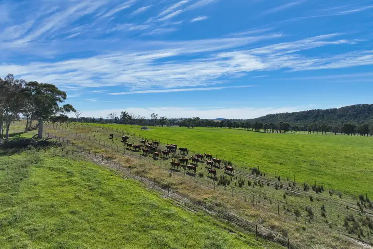 Third view of Homely rural property listing, 710 Inverary Road, Paddys River NSW 2577