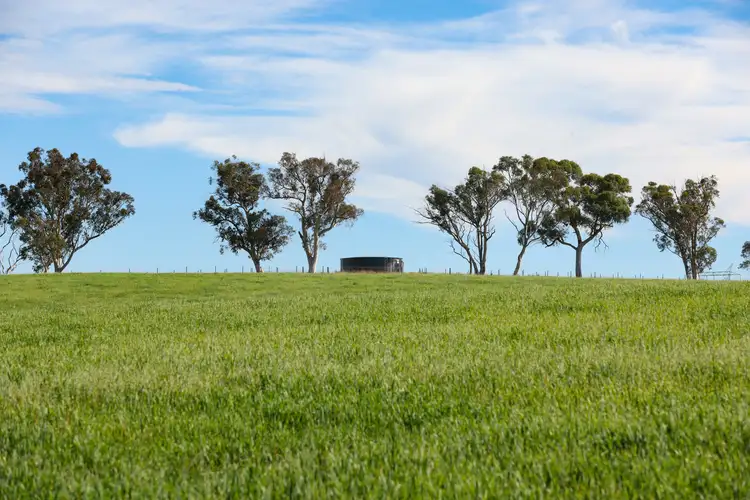 Fourth view of Homely rural property listing, 710 Inverary Road, Paddys River NSW 2577