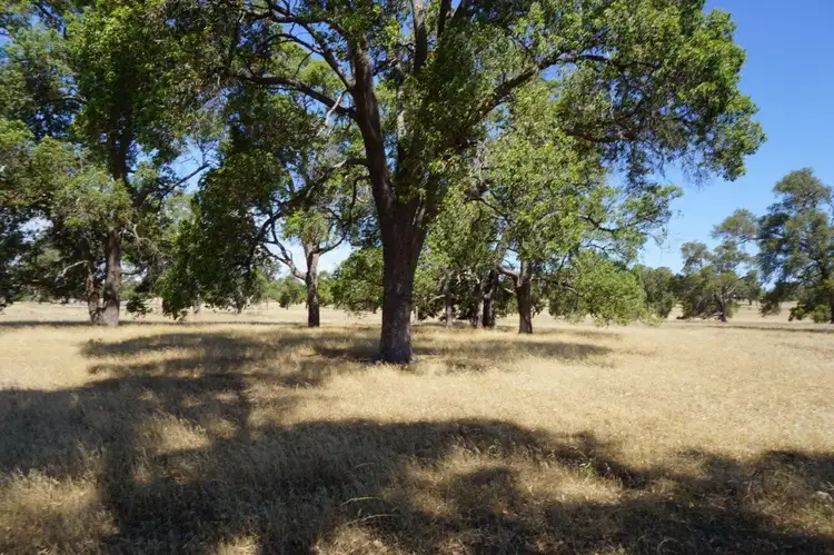 Fifth view of Homely rural property listing, Lot 1 Mogumber Road West, Red Gully WA 6503