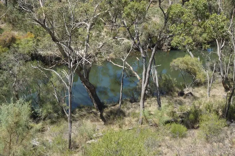 Sixth view of Homely rural property listing, Lot 1 Mogumber Road West, Red Gully WA 6503