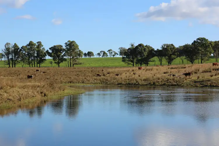 Second view of Homely rural property listing, 710 Inverary Road, Paddys River NSW 2577