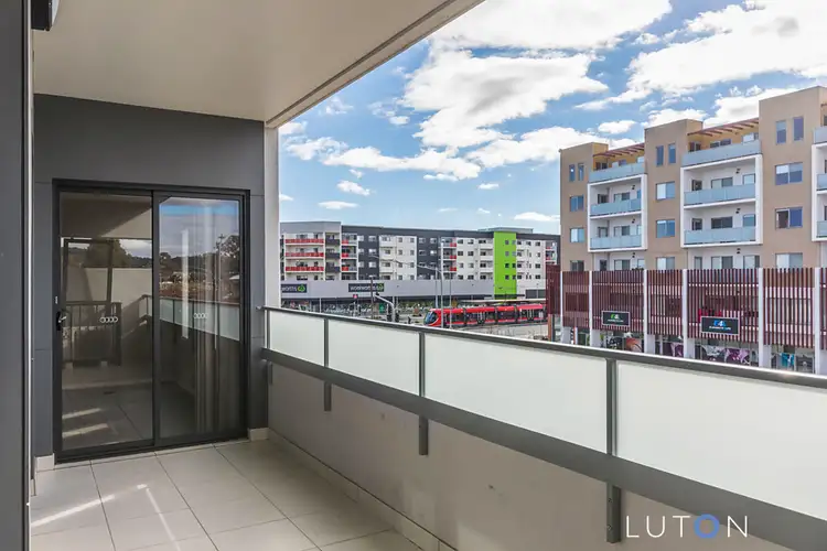 Main view of Homely apartment listing, 8/70 Nullarbor Avenue, Harrison ACT 2914