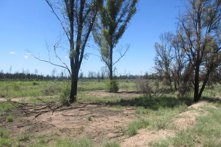 Second view of Homely rural property listing, Lot 163 Tregathlyn Road, Tara QLD 4421