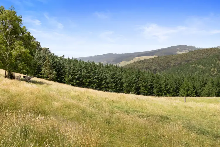 Fourth view of Homely rural property listing, 500 Forresters Road, Hallston VIC 3953